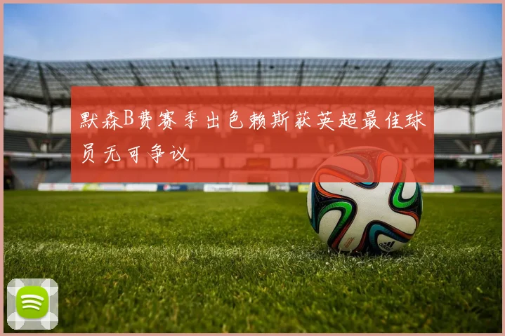 默森B费赛季出色赖斯获英超最佳球员无可争议